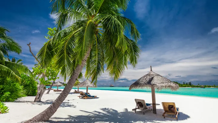 Palm trees leaning over a white sand beach beside a turquoise lagoon